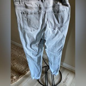 Lane Bryant Jeans for women